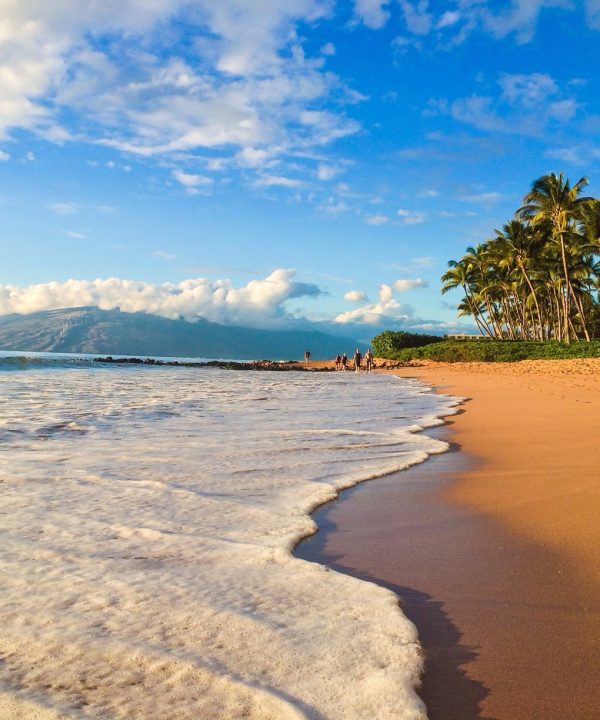 playa hawaiana